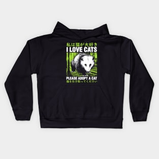 I Love Cats Opossum Japanese Kids Hoodie